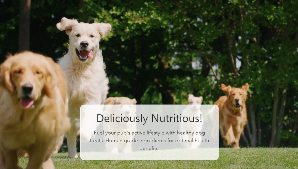 Active lifestyle with healthy dog treats and dog chews.